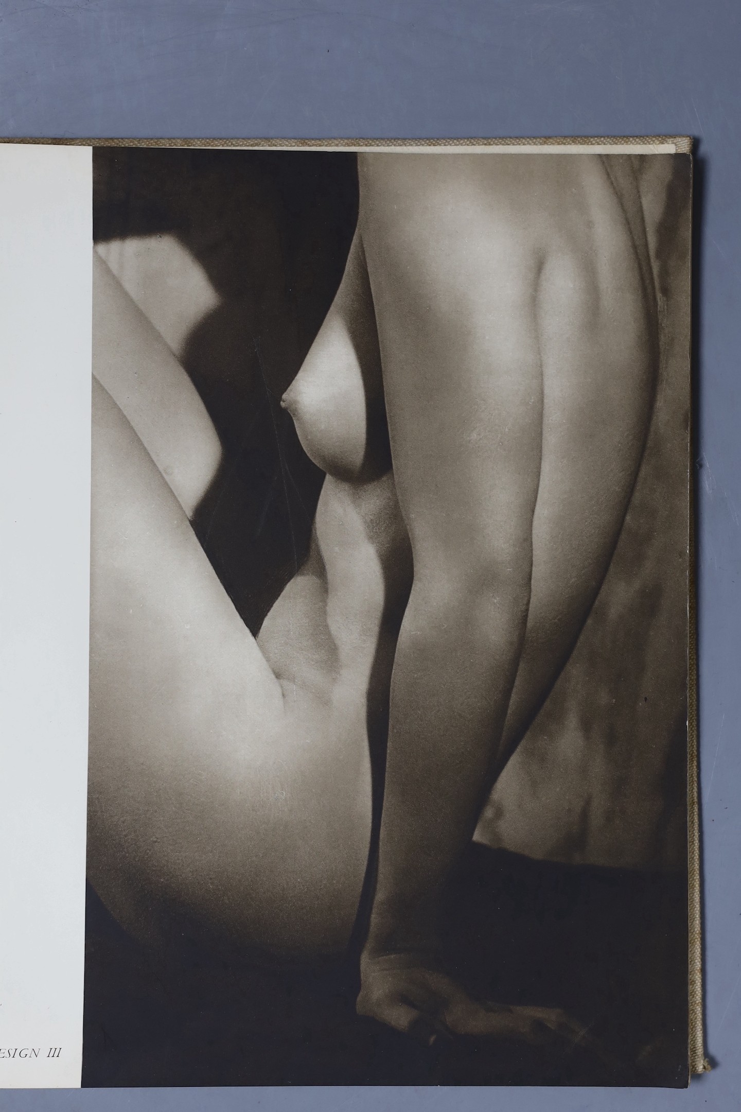 Walter Bird, Beauty's daughters, first edition, 1938